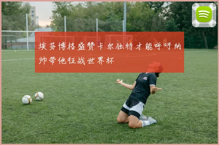 埃芬博格盛赞卡尔独特才能呼吁纳帅带他征战世界杯
