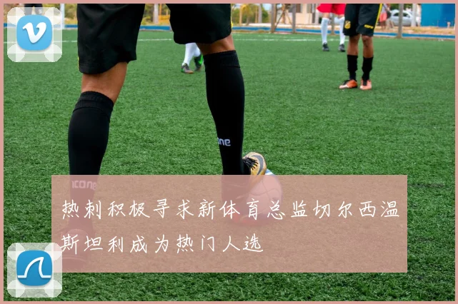 热刺积极寻求新体育总监切尔西温斯坦利成为热门人选