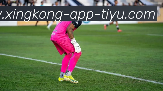 星空体育发展历程