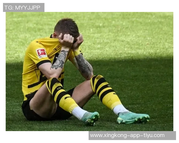 罗伊斯力挺布兰特留队多特未来合作前景可期